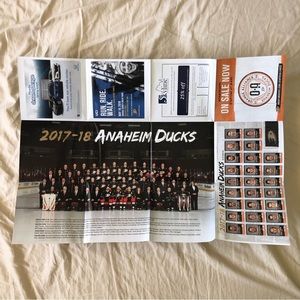2018 Anaheim Ducks Fan Appreciation Night NHL Team Game Day Poster